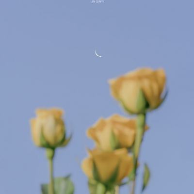 万博manbetx登录手机app下载