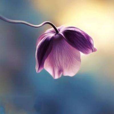 江南娱乐app官网下载官方入口