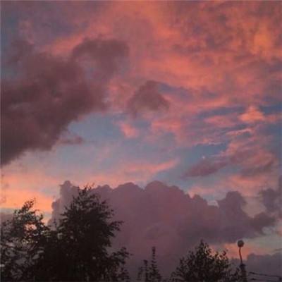 万博·ManBetX手机下载手机版