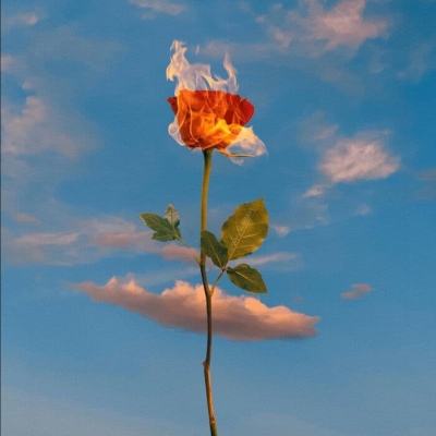 亚博棋牌手机app下载