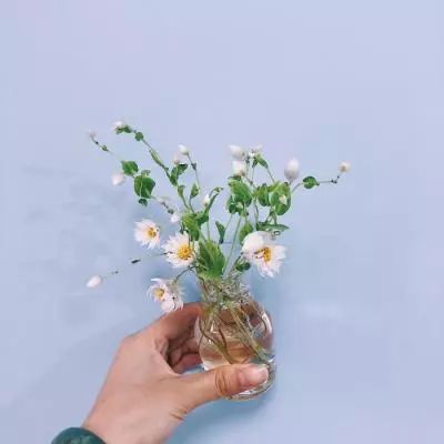 beat365中国在线体育下载手机版